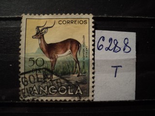 Фото марки Порт. Ангола 1953г