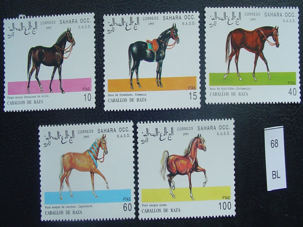Лошади на почтовых марках. Марки с лошадьми СССР. Арабский скакун марка Почтовая. Антикварные марки лошадь конь.