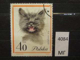 Фото марки Польша 1964г