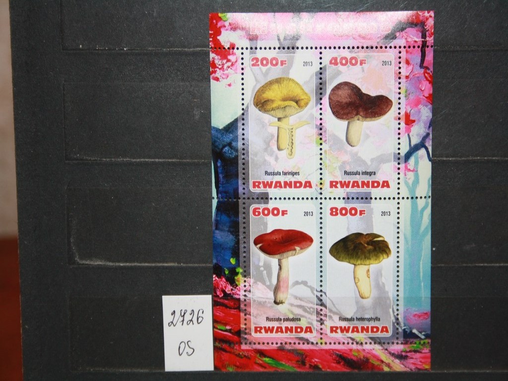 Фото марки Руанда 2013г блок **