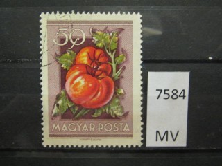 Фото марки Венгрия 1954г