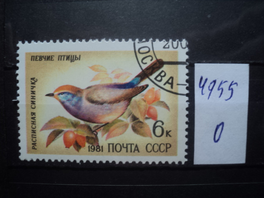 Фото марки СССР 1981г