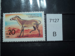 Фото марки Туркменистан 1992г **