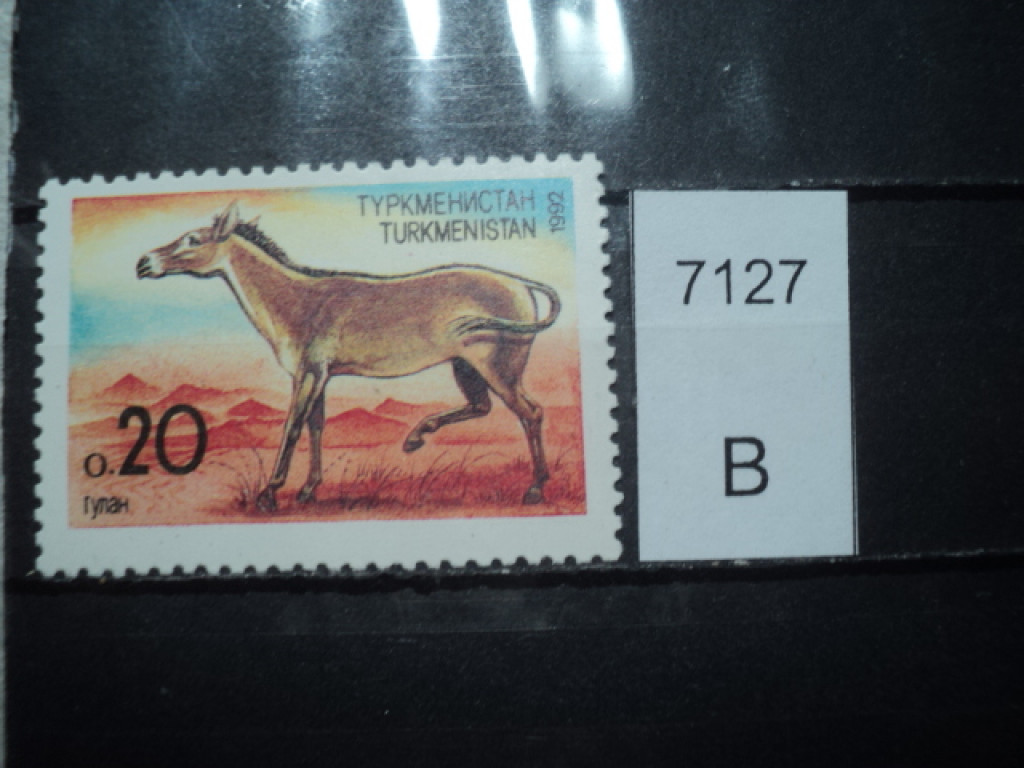 Фото марки Туркменистан 1992г **