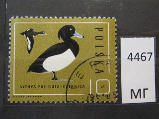 Фото марки Польша 1985г