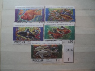 Фото марки Россия 1998г **