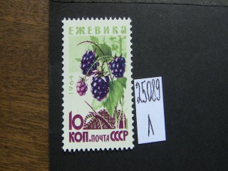 Фото марки СССР 1964г **