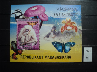 Фото марки Мадагаскар блок **