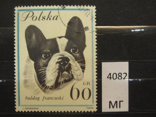 Фото марки Польша 1963г