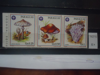 Фото марки Парагвай сцепка *