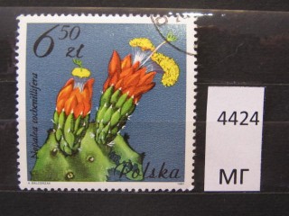 Фото марки Польша 1981г