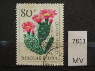 Фото марки Венгрия 1965г