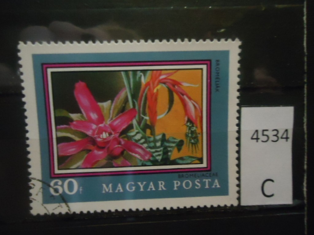 Фото марки Венгрия