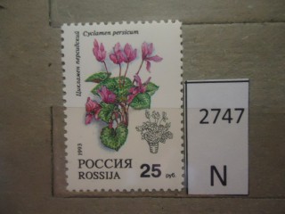 Фото марки Россия 1993г **