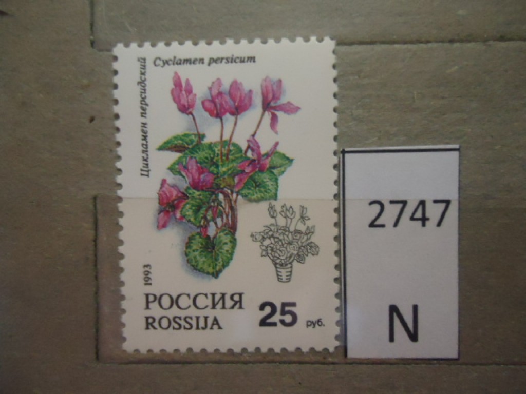 Фото марки Россия 1993г **