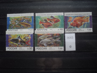 Фото марки Россия 1998г **