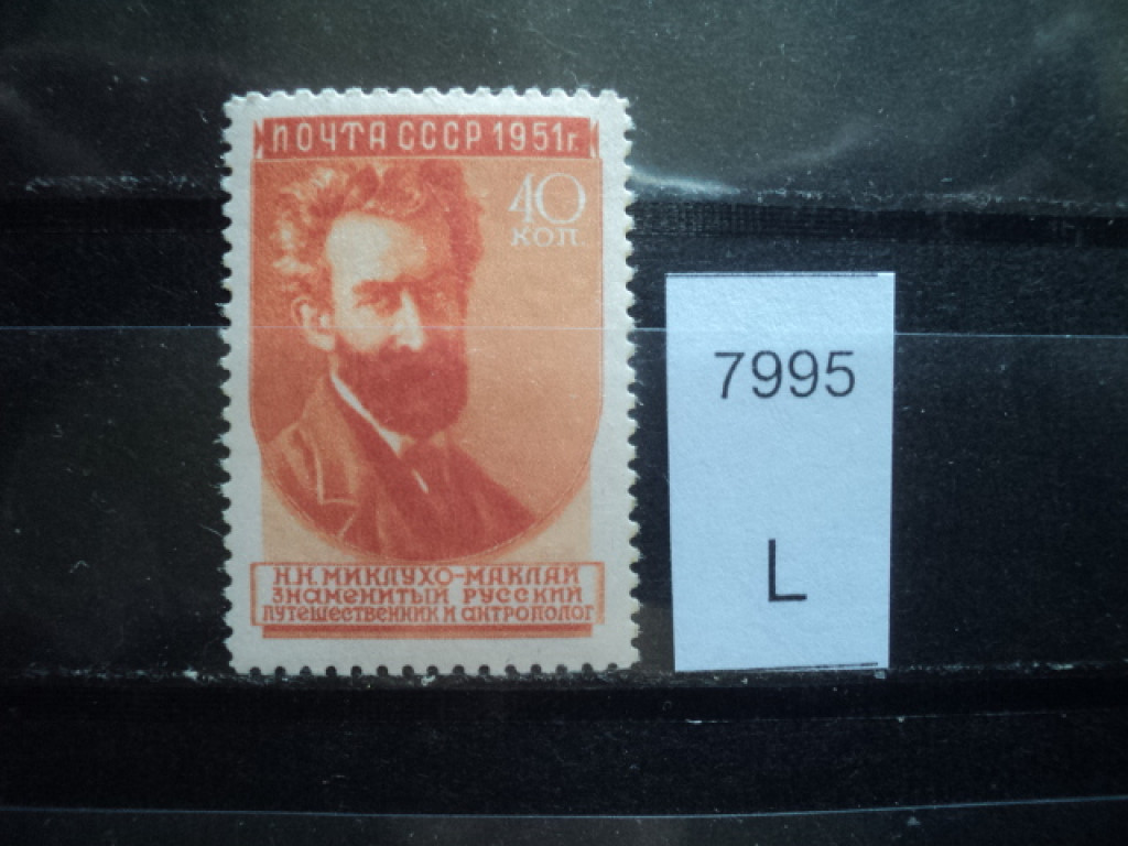 Фото марки СССР 1951г большой размер тип 1 **