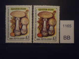 Фото марки СССР 1986г Разный оттенок гриба, фона, клея **