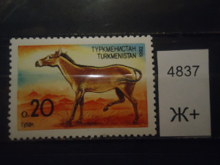 Фото марки Туркменистан **