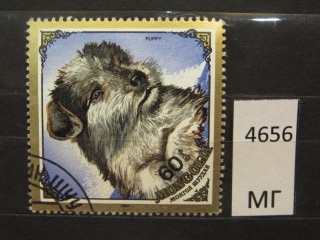 Фото марки Монголия 1984г