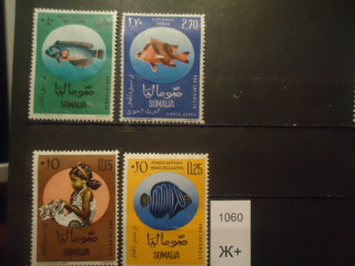 Фото марки Итальянск Сомали 1962г **
