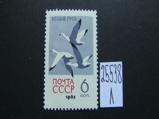 Фото марки СССР 1962г **