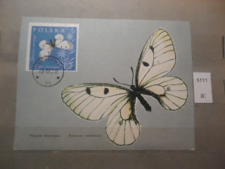 Фото марки Польша почтовая карточка