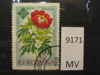 Фото марки Румыния 1961г