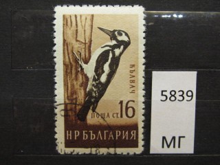 Фото марки Болгария 1959г