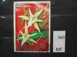 Фото марки Экваториальная Гвинея 1975г