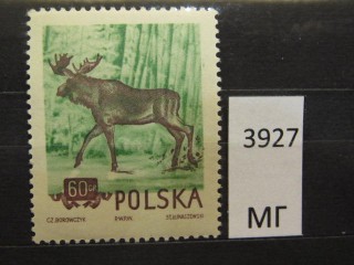 Фото марки Польша 1954г *