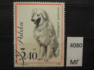 Фото марки Польша 1963г