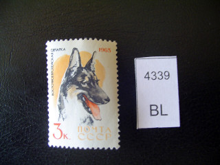 Фото марки 1965г собака **
