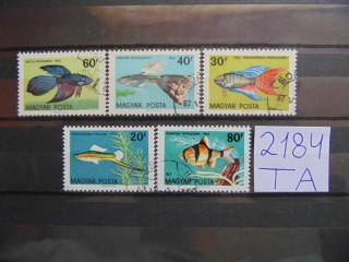 Фото марки Венгрия 1962г