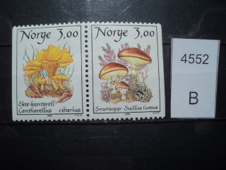 Фото марки Норвегия серия сцепка 1989г **