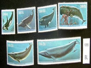 Фото марки киты 1980г **