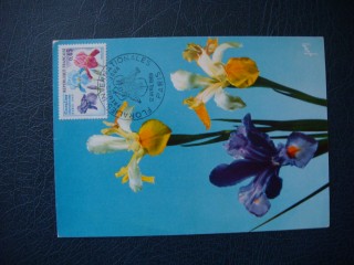 Фото марки Франция почтовая карточка 1969г FDC **
