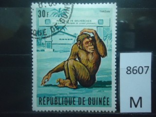 Фото марки Гвинея 1969г