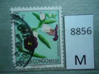 Фото марки Бельгийское Конго 1952г