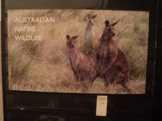 Фото марки Австралия. Буклет с марками **