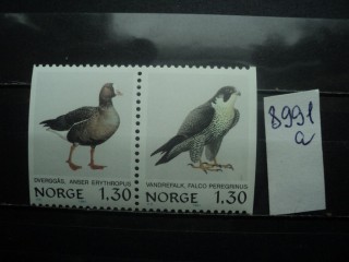 Фото марки Норвегия пара **