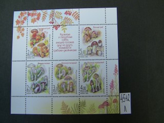 Фото марки Россия 2003г малый лист **