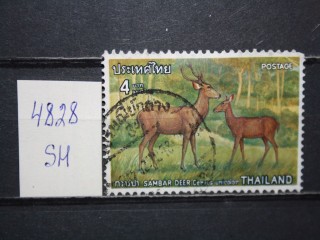 Фото марки Таиланд 1976г