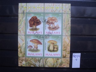 Фото марки Малави блок