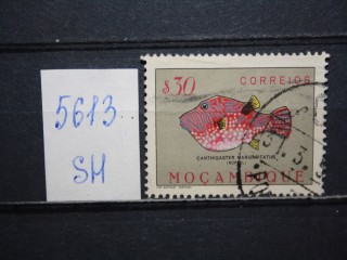 Фото марки Мозамбик 1951г