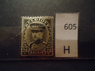 Фото марки Бельгия 1934г *