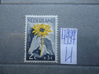 Фото марки Нидерланды 1949г *
