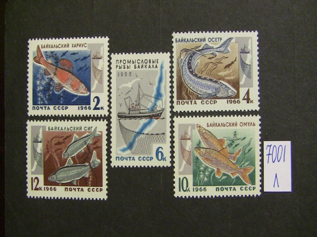 Как узнать стоимость почтовой марки по фотографии