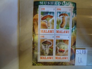 Фото марки Малави блок **
