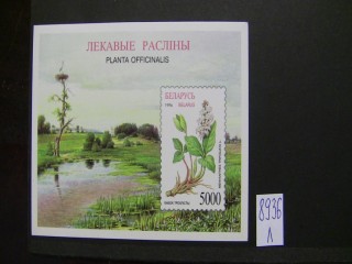 Фото марки Белоруссия 1996г блок **